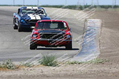 media/May-19-2024-VARA (Sun) [[bc1adde764]]/Group 5/Race (Outside Grapevine)/